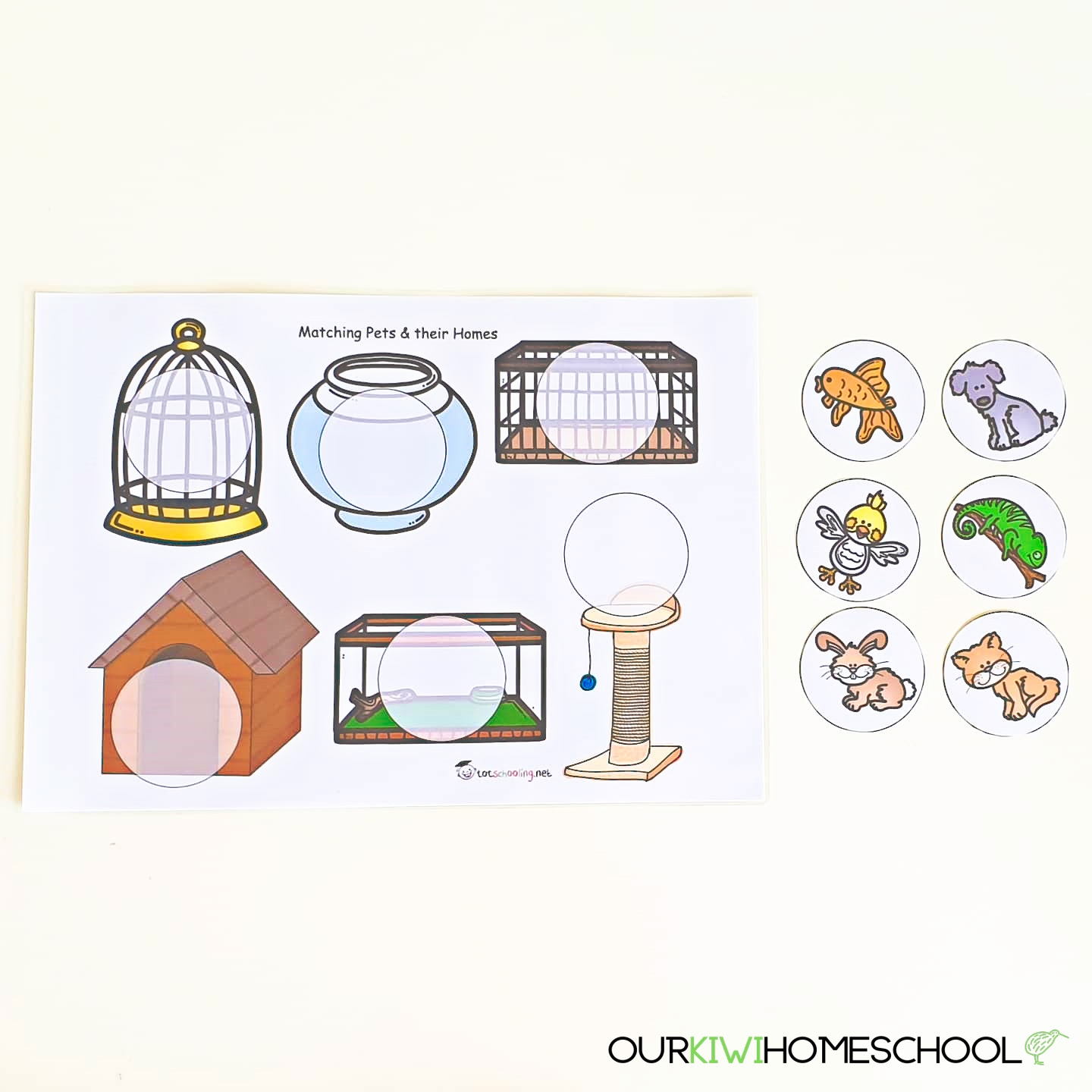 Our Preschool Learning Folder Why You Should Make One Too Our Kiwi Homeschool Our Preschool Learning Folder Why You Should Make One Too Our Kiwi Homeschool