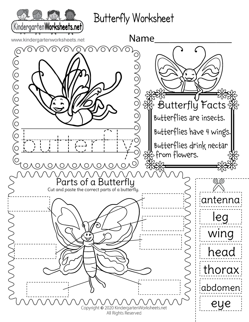 Parts Of A Butterfly Worksheet Free Printable PDF Parts Of A Butterfly Worksheet Free Printable PDF