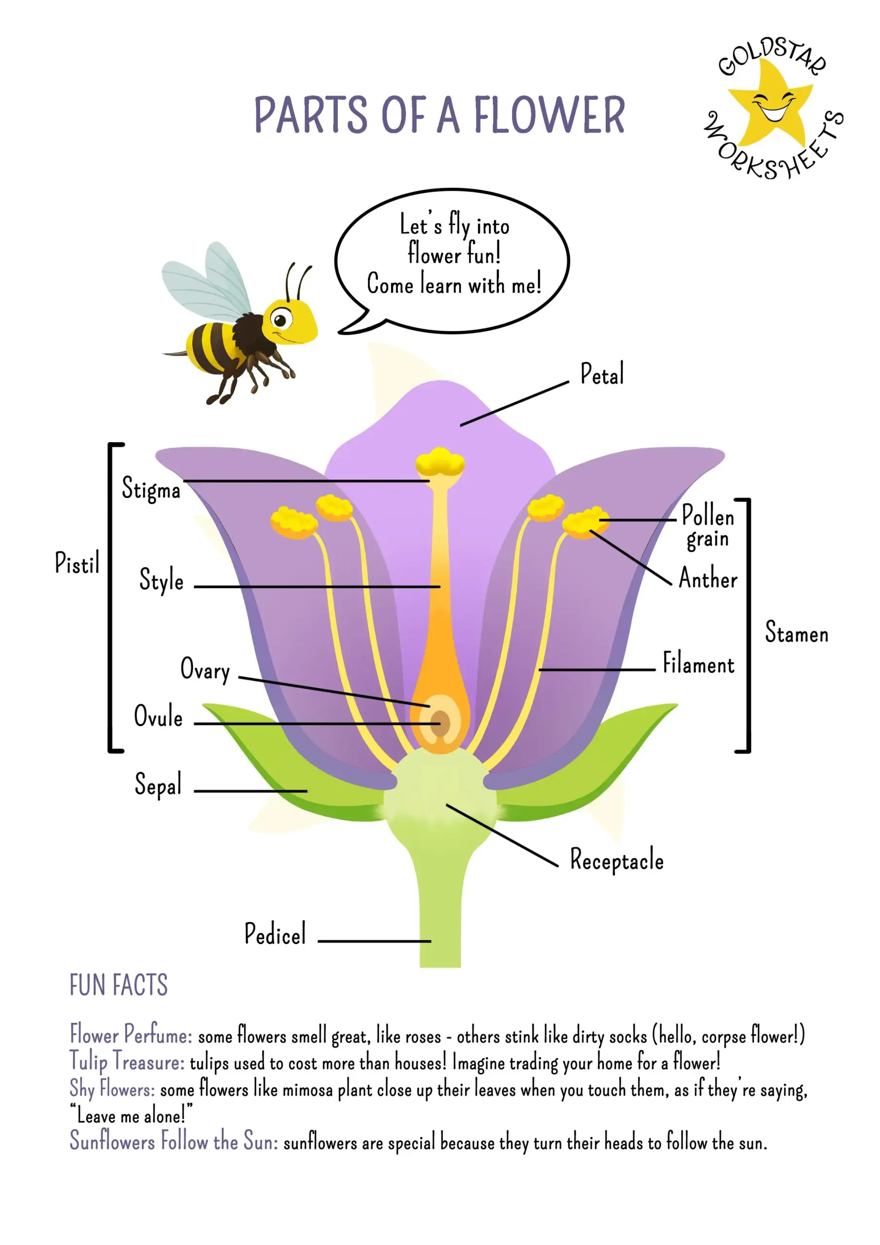 Parts Of A Flower Worksheet For Grades 2 4 Fun And Educational Parts Of A Flower Worksheet For Grades 2 4 Fun And Educational