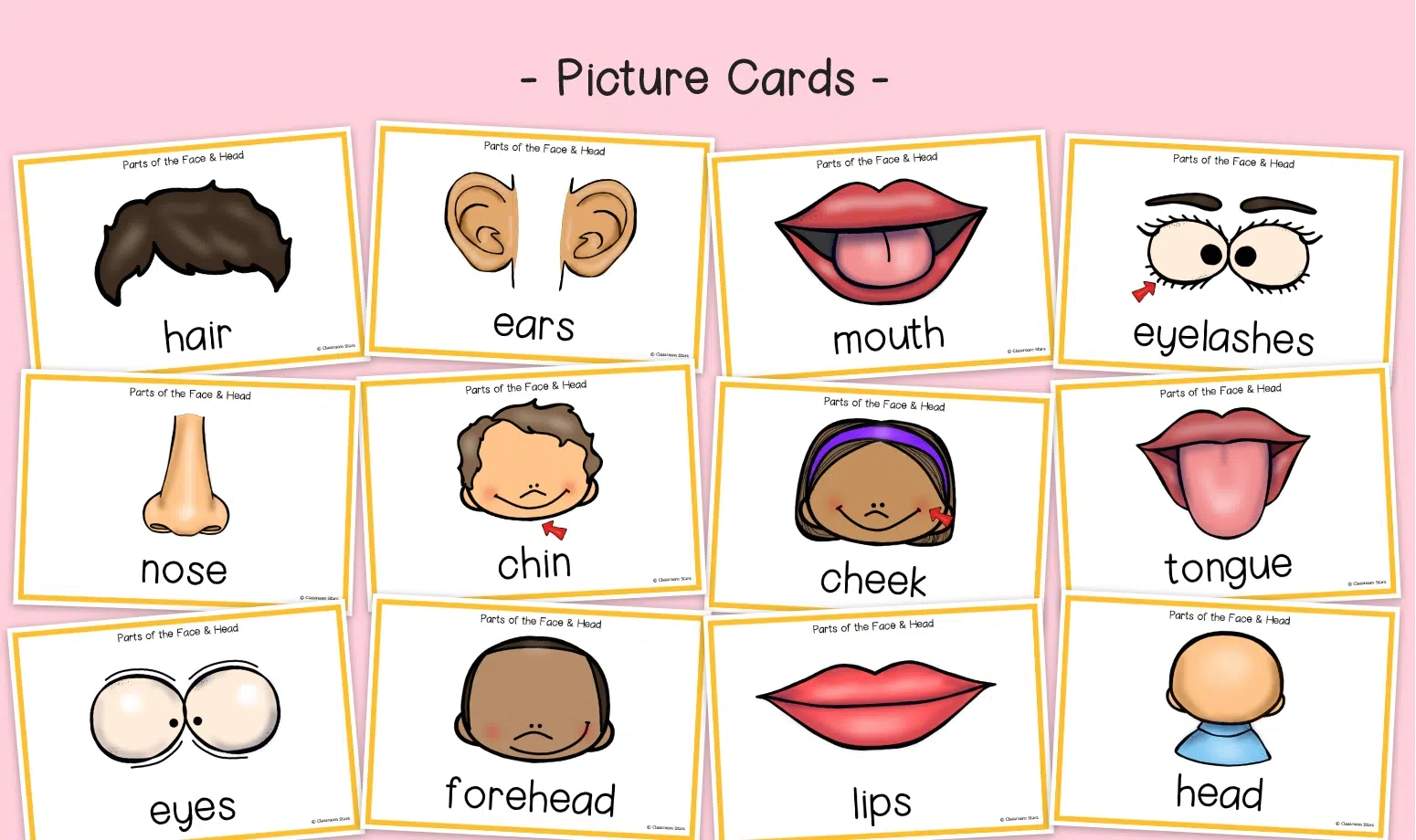 Parts Of The Face And Head Picture Cards KS1 Humans Primary Science Parts Of The Face And Head Picture Cards KS1 Humans Primary Science
