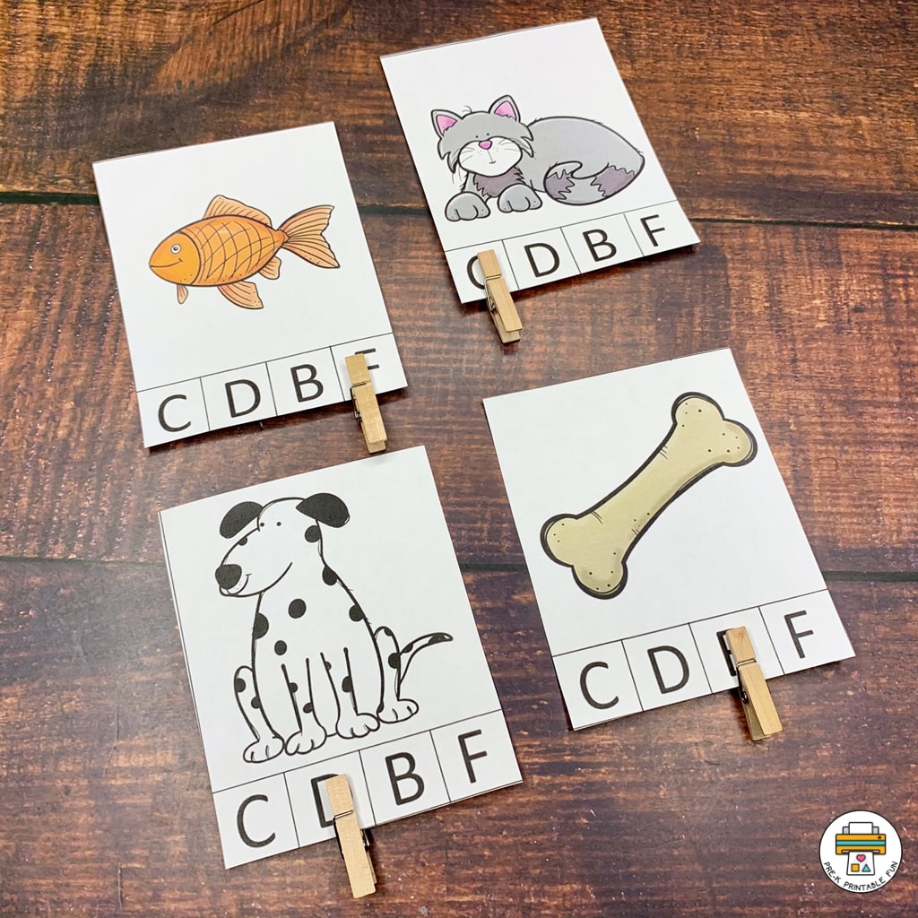 Pets Preschool Activity Pack Pets Preschool Activity Pack