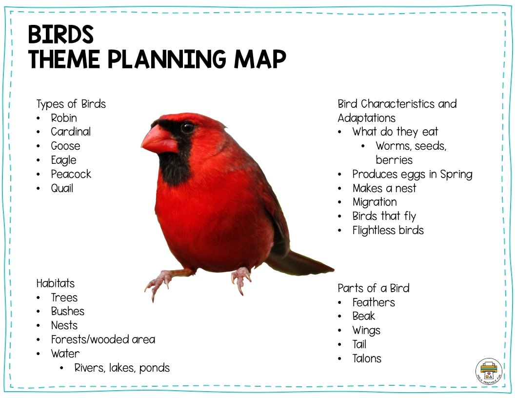 Preschool Birds Lesson Planning Ideas Pre K Printable Fun Preschool Birds Lesson Planning Ideas Pre K Printable Fun