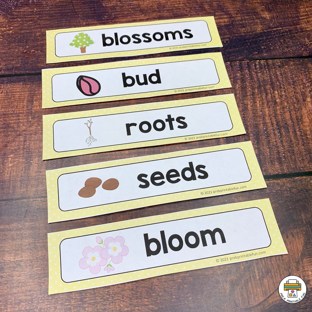 Preschool Literacy Activities For Spring Pre K Printable Fun Preschool Literacy Activities For Spring Pre K Printable Fun