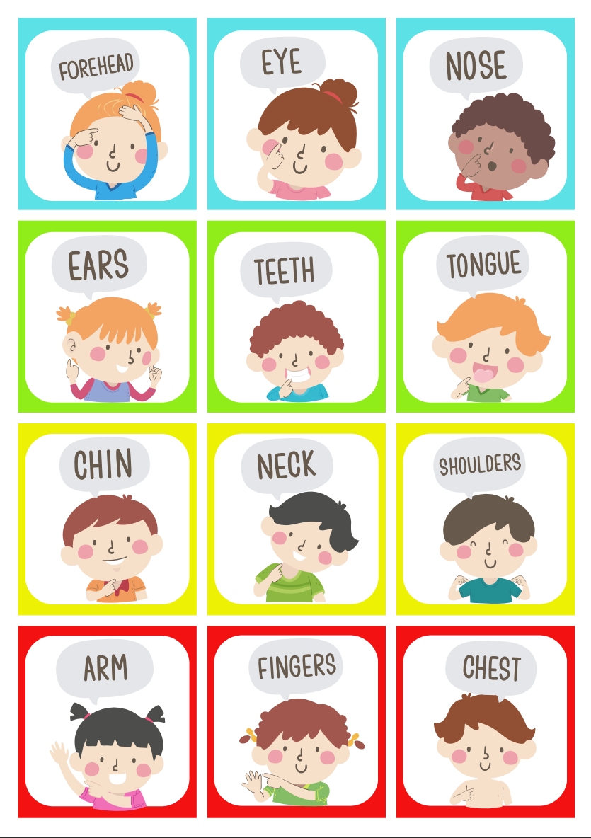 Printable FlashCard PartsofBody Tinyartisianspace Printable FlashCard PartsofBody Tinyartisianspace