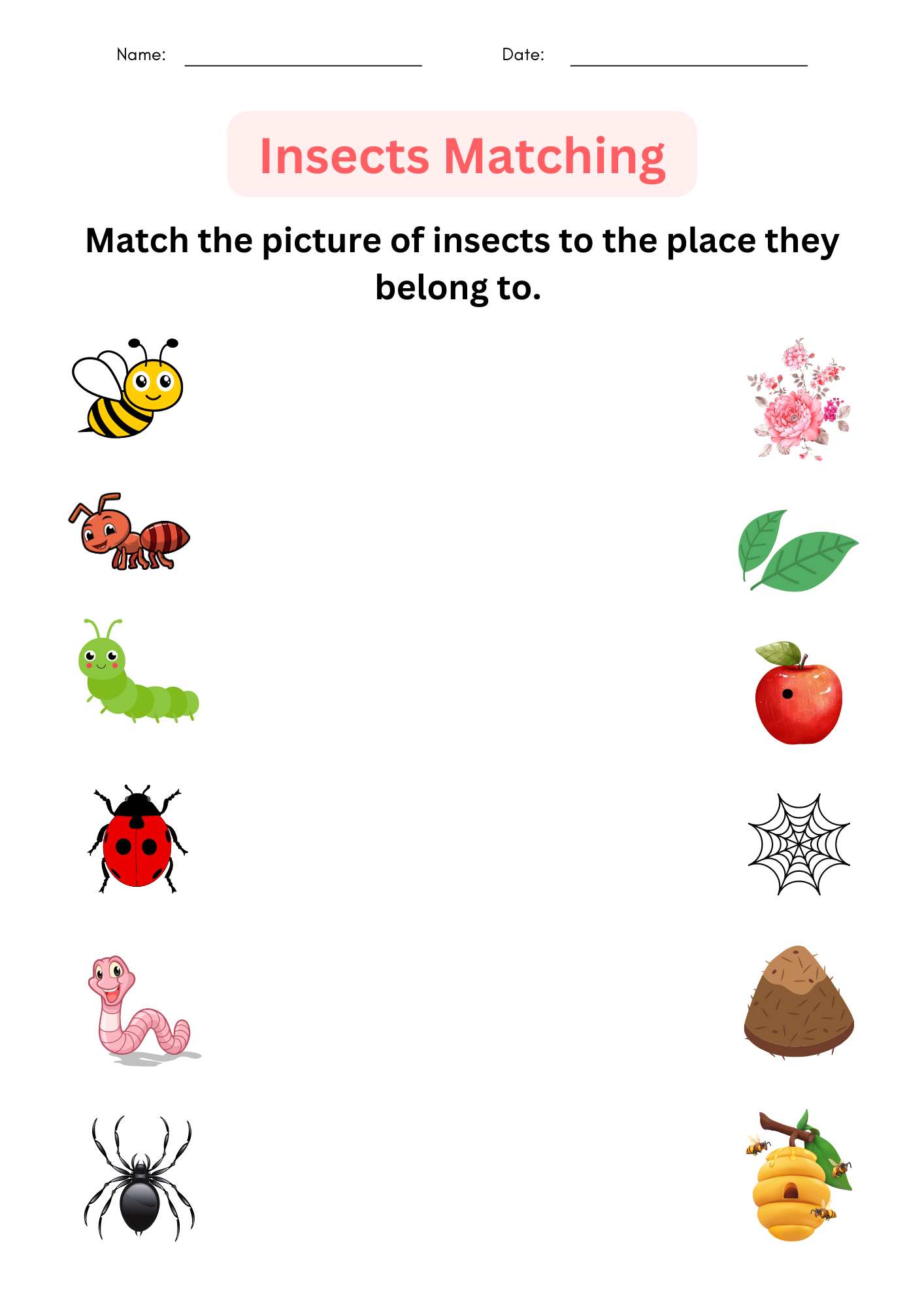 Printable Insects Worksheets For Kindergarten Identify And Matching For Grade 1 Teaching Resources Printable Insects Worksheets For Kindergarten Identify And Matching For Grade 1 Teaching Resources