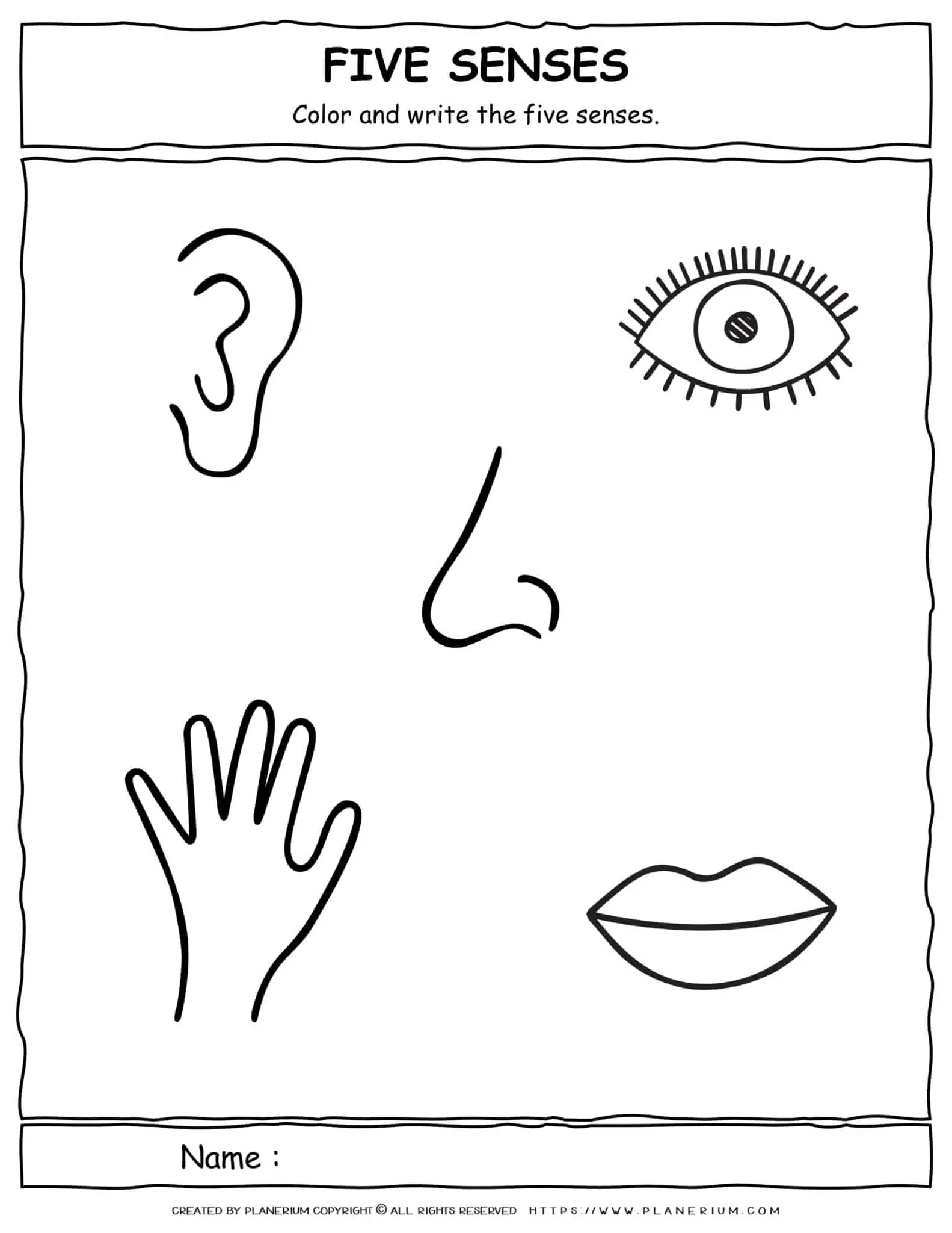 Science Worksheet Five Senses Color And Write Planerium