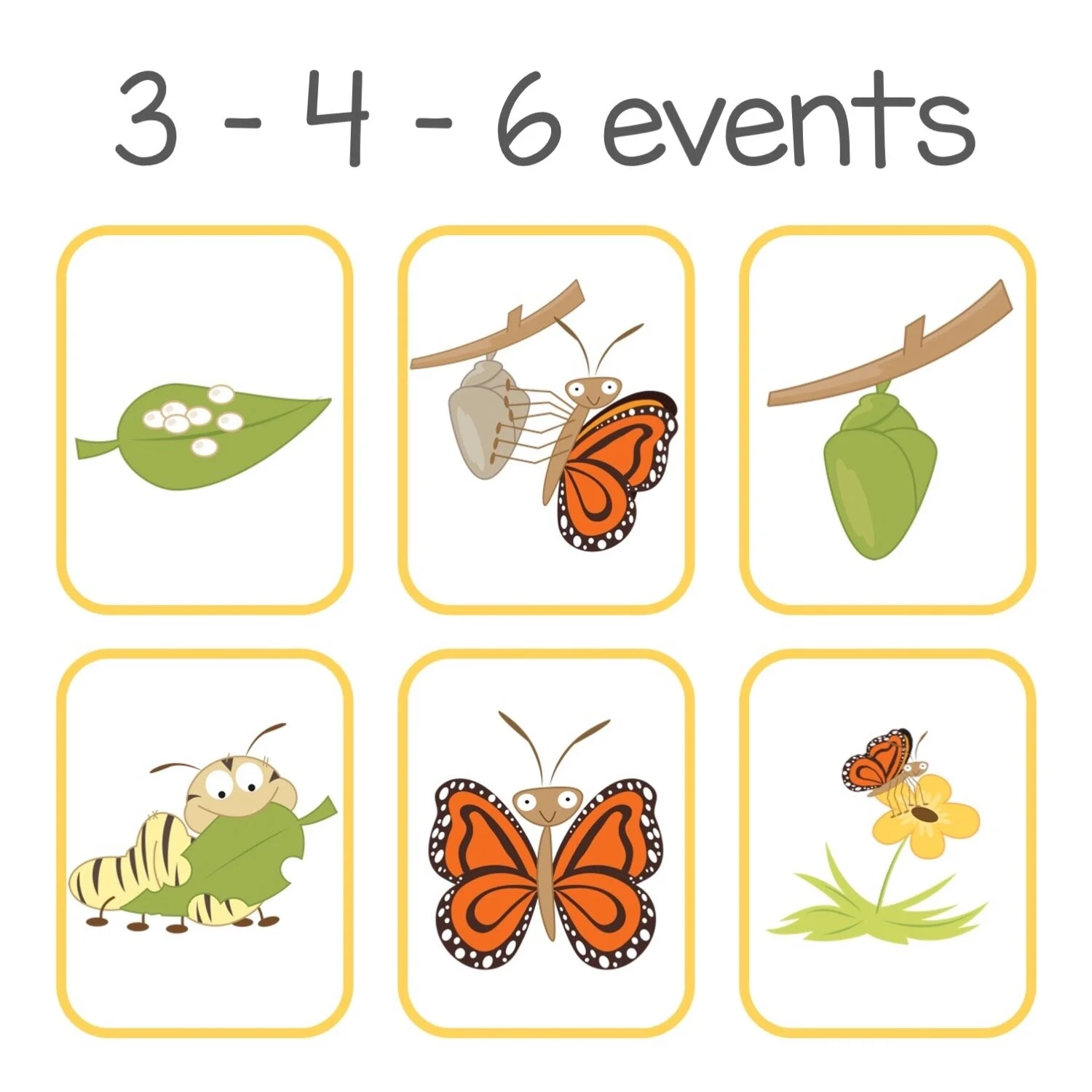 Spring Sequencing Picture Cards Printables SLP