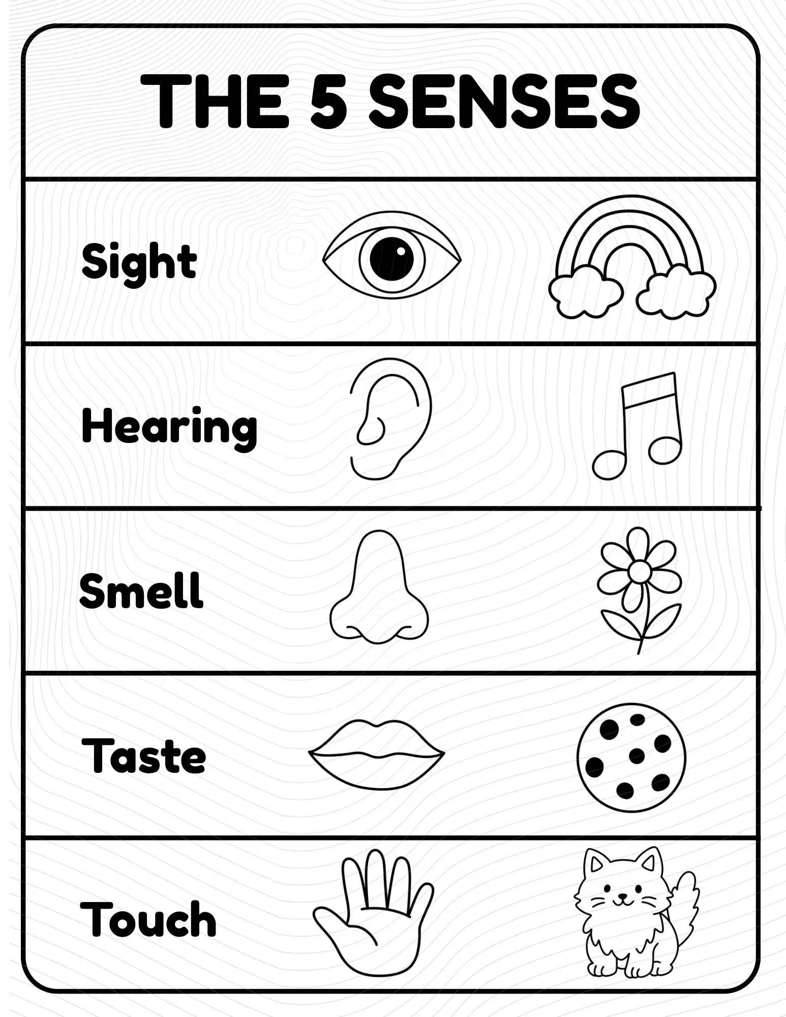 The 5 Senses Worksheet Preschool Coloring Activity Printable Learning For Kids Etsy