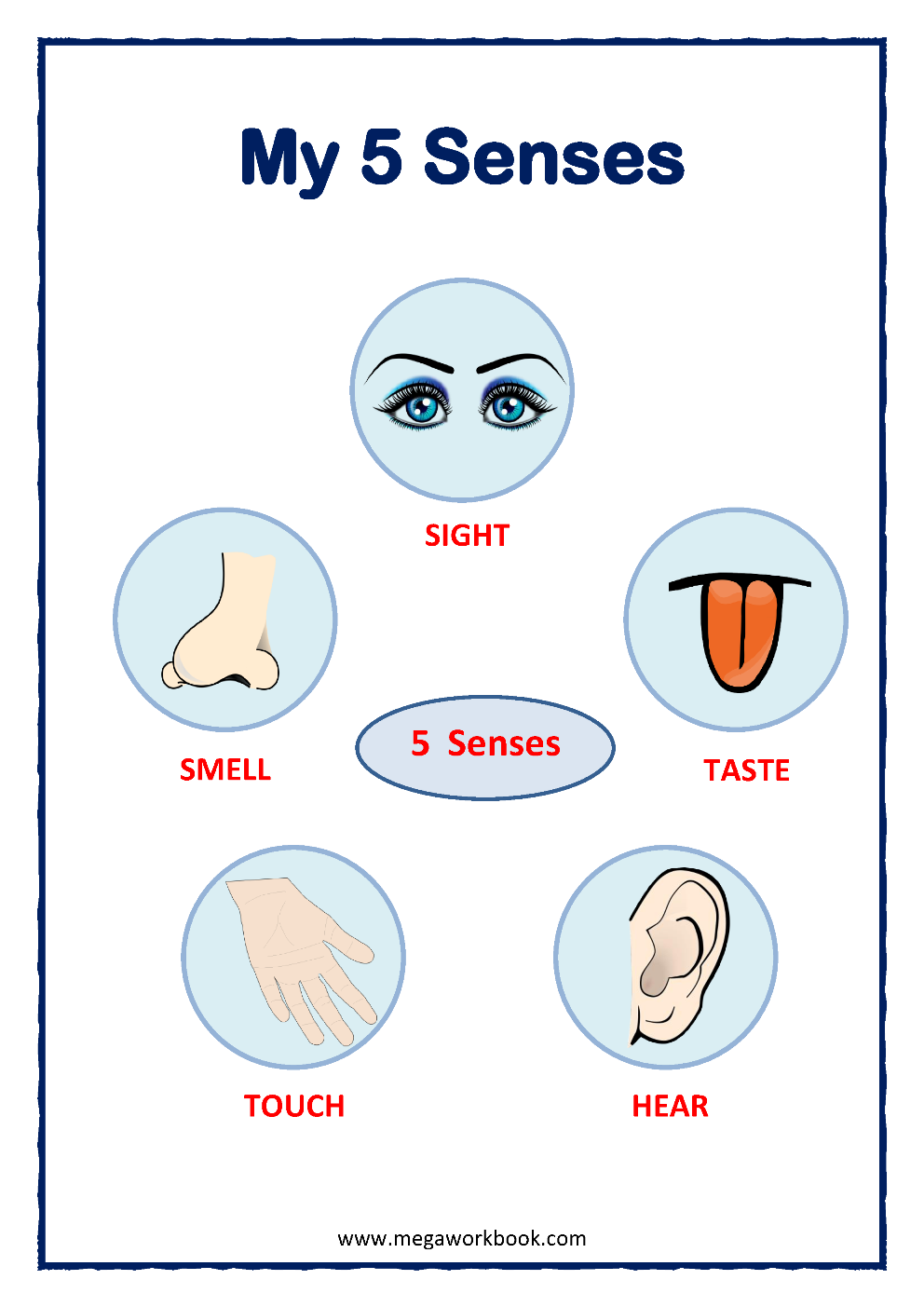 The 5 Senses Worksheets For Preschool The Hollydog Blog Worksheets Library