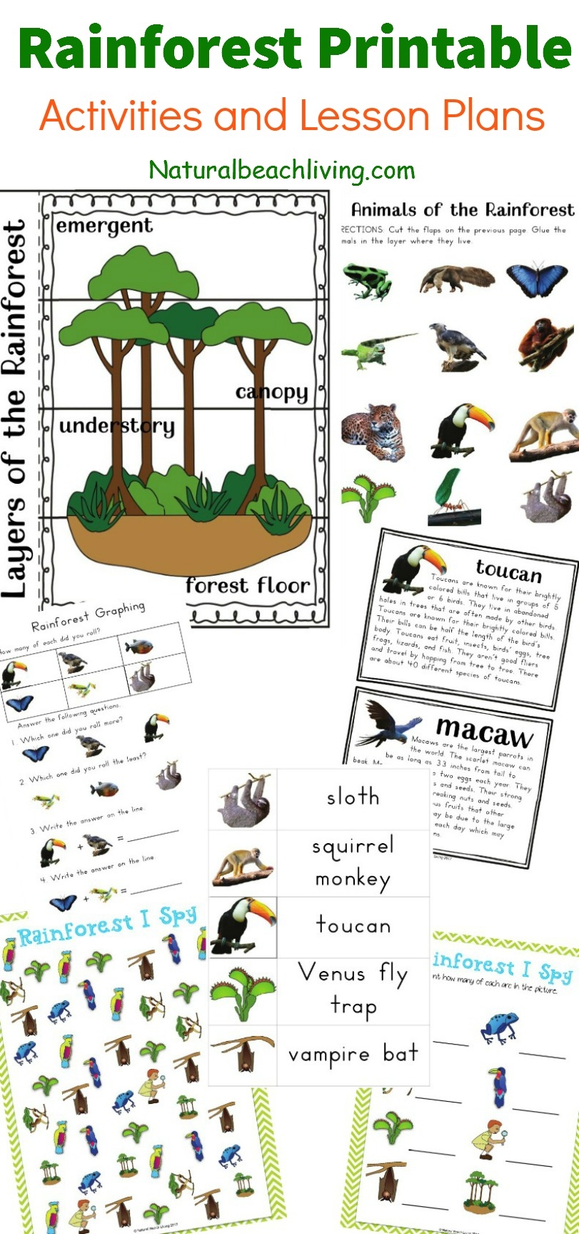 The Best Rainforest Printable Activities For Kids Natural Beach Living The Best Rainforest Printable Activities For Kids Natural Beach Living