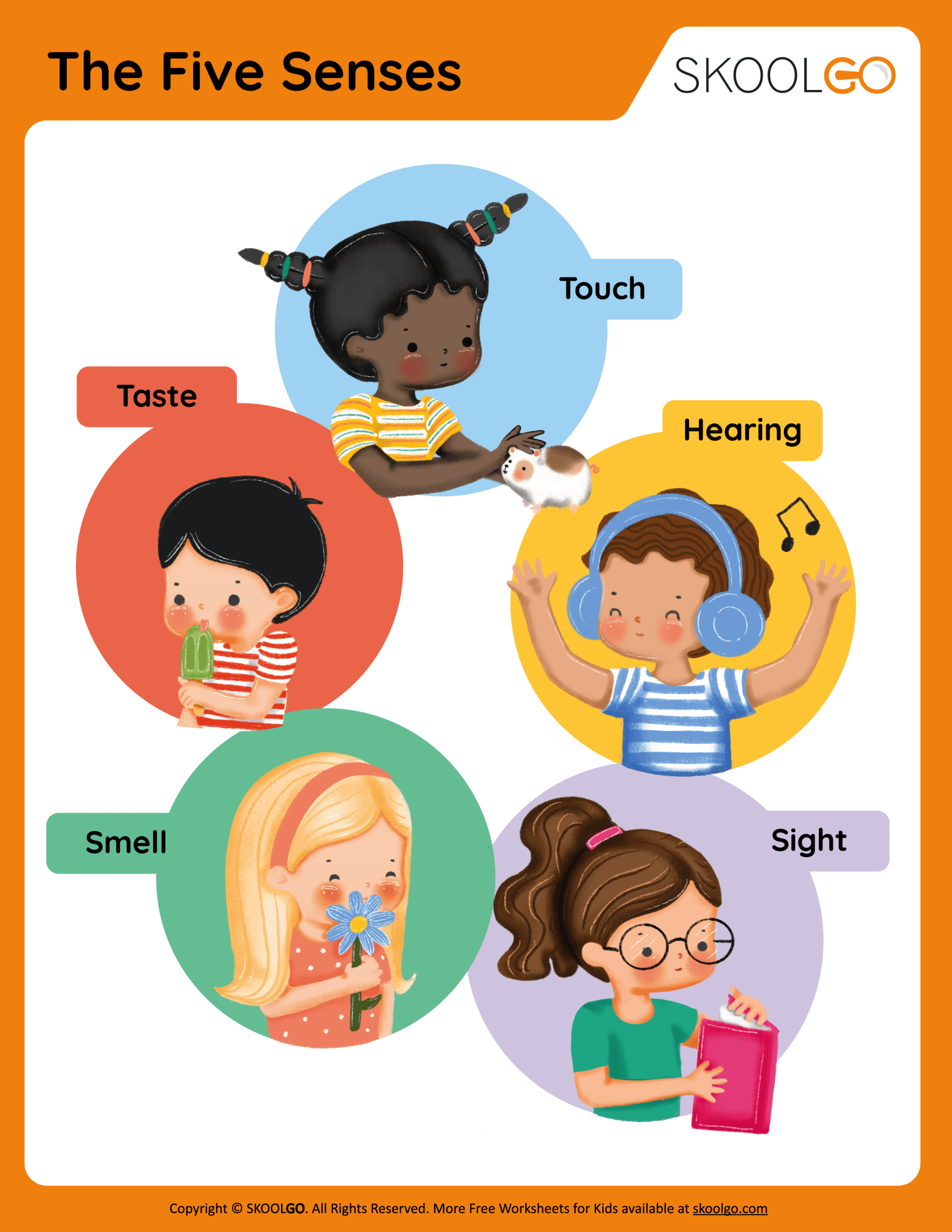 The Five Senses Free Worksheet SKOOLGO