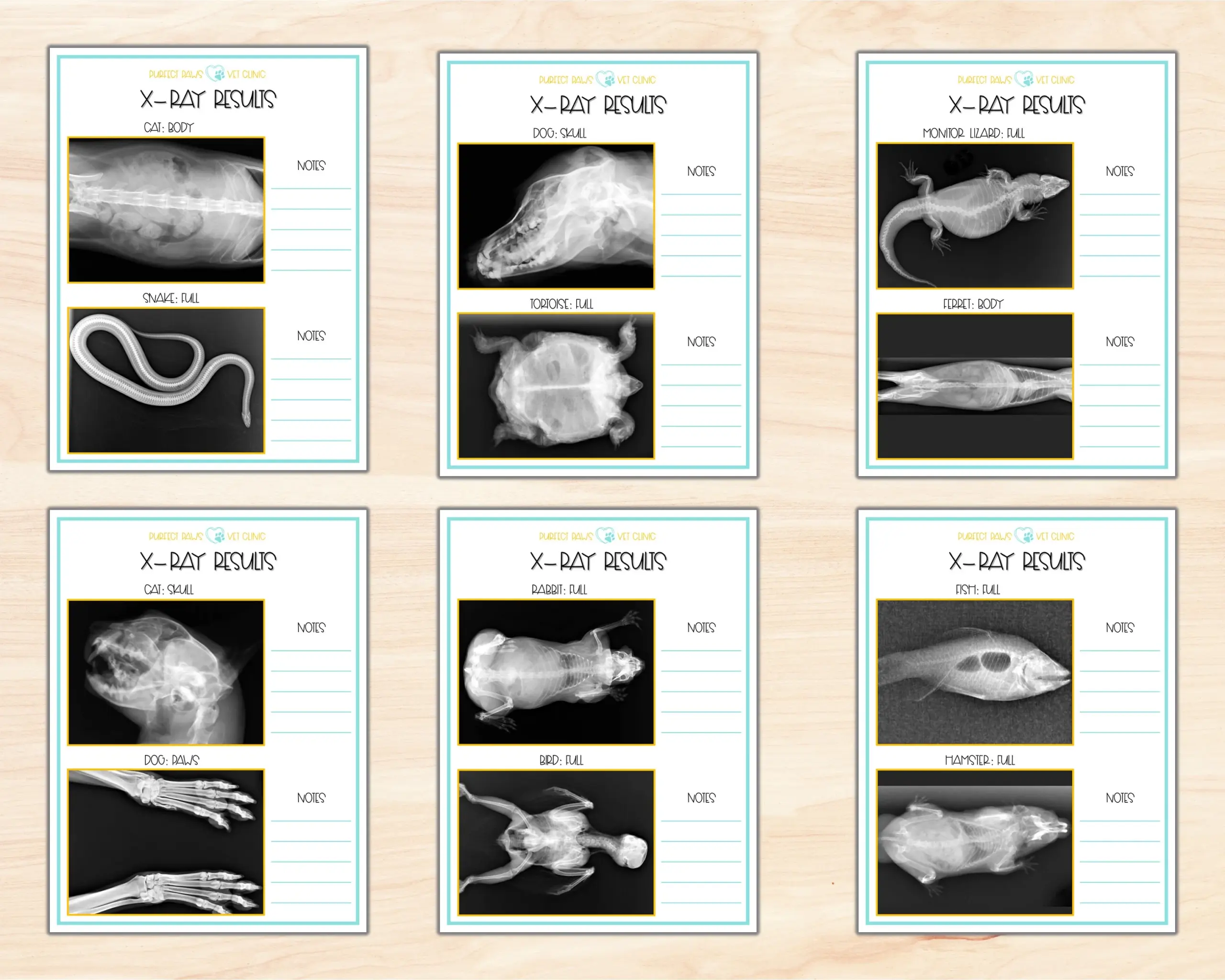 Vet Clinic Dramatic Play Pretend Play Printable Pet Play Animal X Rays Pretend Play Set Pet X ray Play Animal Hospital Etsy