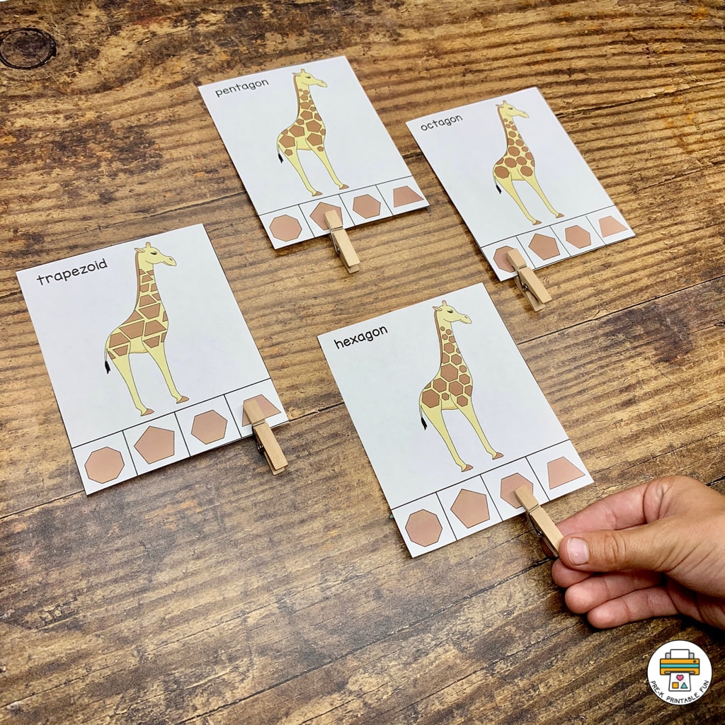 Zoo Activity Pack Pre K Printable Fun